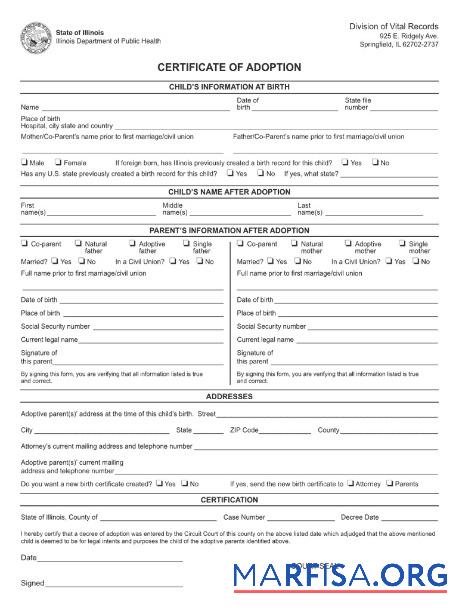 Realistic USA Illinois department of public health adoption certificate sample